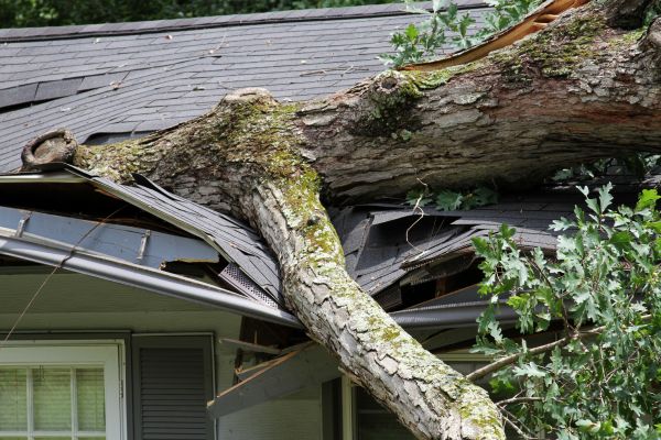Storm Remediation in Yuba City