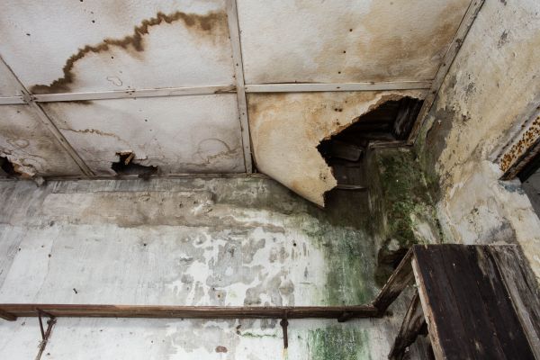 Water Damage Service in Yuba City