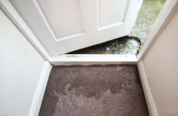Wet Carpet Restoration in Yuba City
