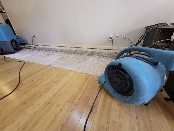 Cost of Water Damage Mitigation in Yuba City