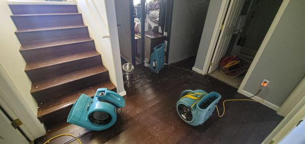 Water Damage Remediation in Yuba City