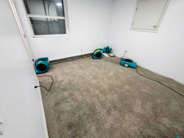 Flood Restoration Service in Yuba City
