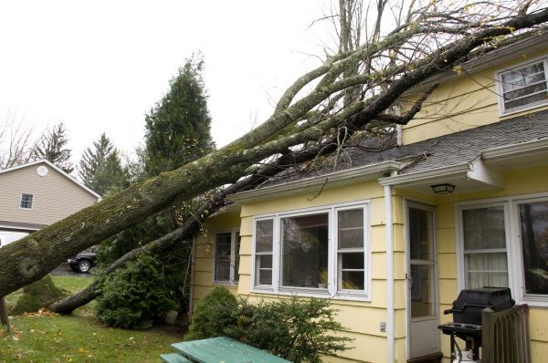 Storm Damage Mitigation in Yuba City